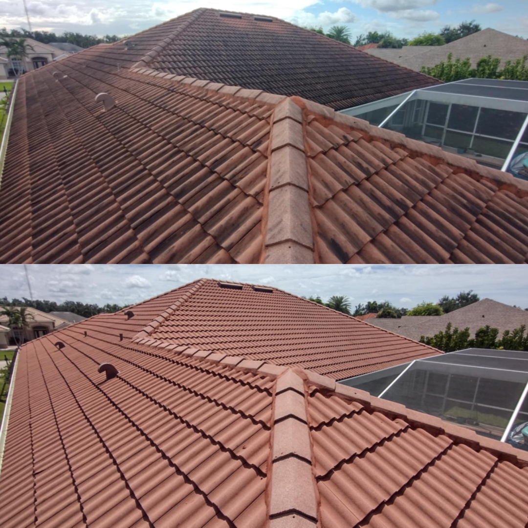 Roof Cleaning completed by Stwan's Pressure Washing